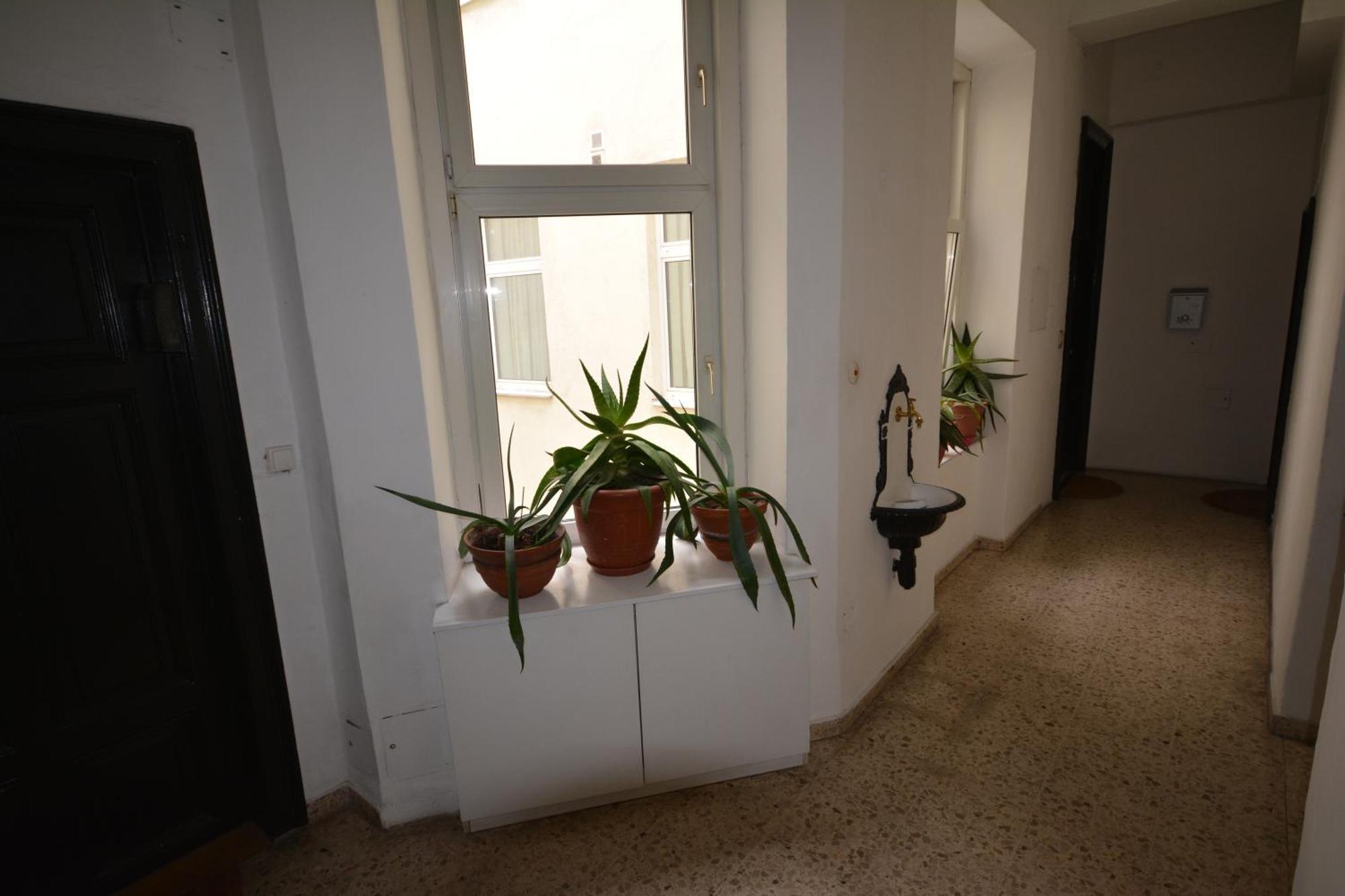 Vienna Holiday Apartments Εξωτερικό φωτογραφία